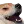 :kekw: