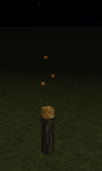 torch2.gif