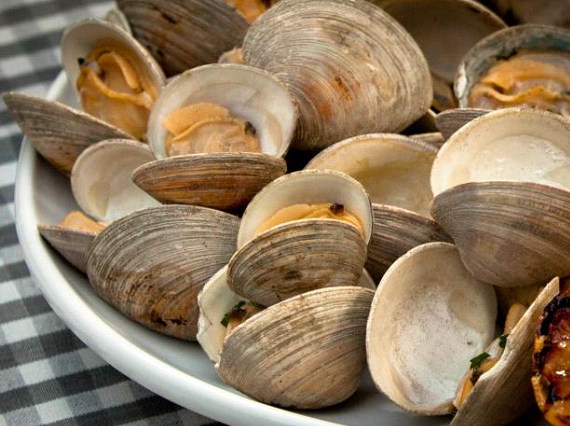 5a70d957c6df4_clamfood.png.4e28a221c663920aa441871137827ec1.png
