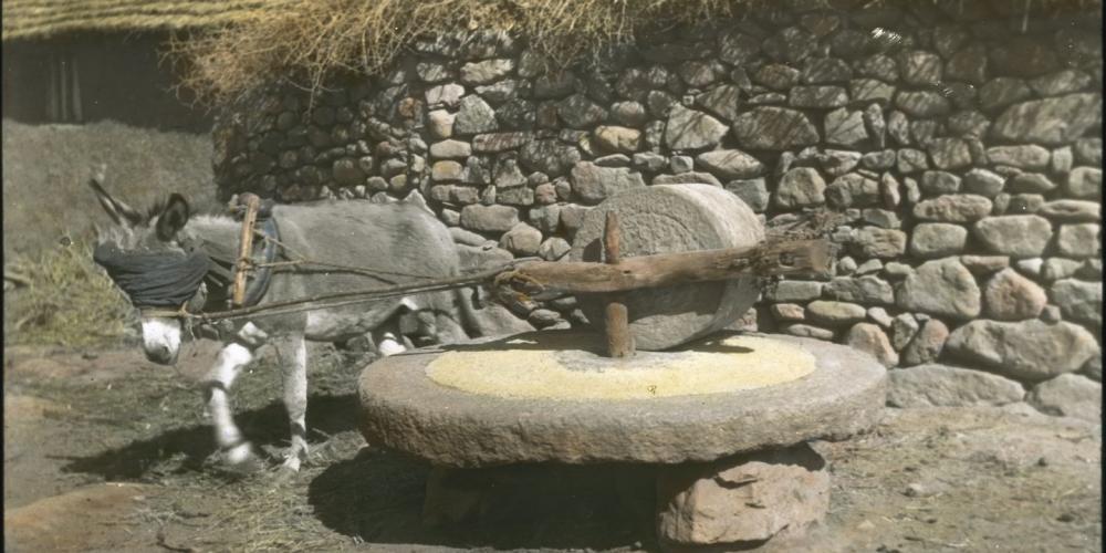 DonkeyGristMill.thumb.jpg.4a78df8671bf85f0c67013cf43ecdcc8.jpg