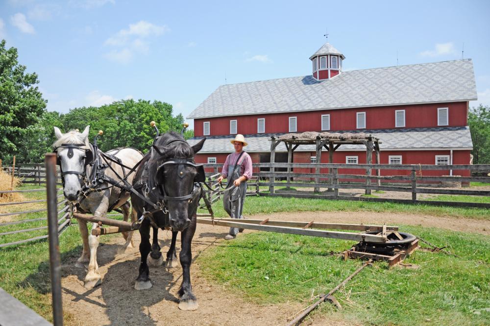 SRF_1080p_horses-power-threshing-machine_FM.thumb.jpg.bc59f5fba61f41744a830cc1a1d8ece1.jpg