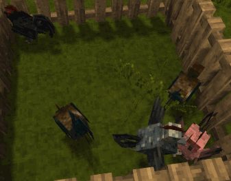 peckerfightsmall2.gif.c397a0a98ee8b7b16686b3f2cb7068d9.gif