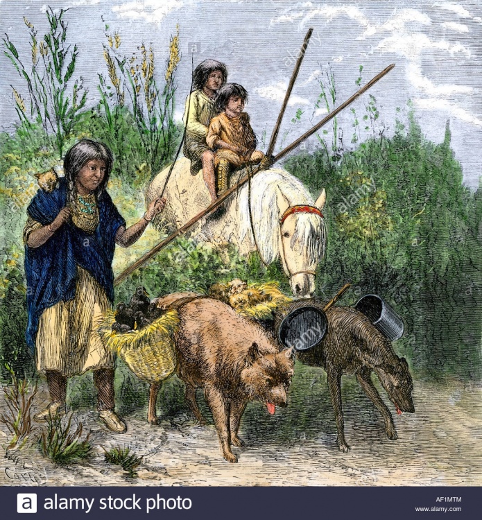 native-american-family-moving-their-possessions-using-a-travois-and-AF1MTM.thumb.jpg.ed3d842a45628d1e8ebdb2f04a1863b8.jpg