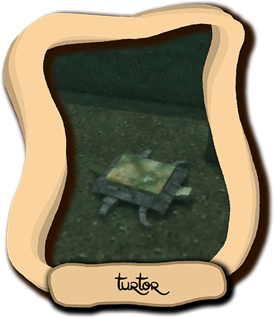 turtor.png.e91c46a239ed19bacff481b468fd2a56.png