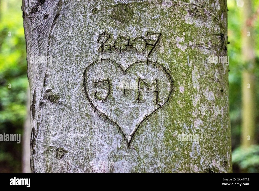 heart-with-monograms-carved-in-the-bark-of-a-tree-trunk-2AK0YAE[1].jpg