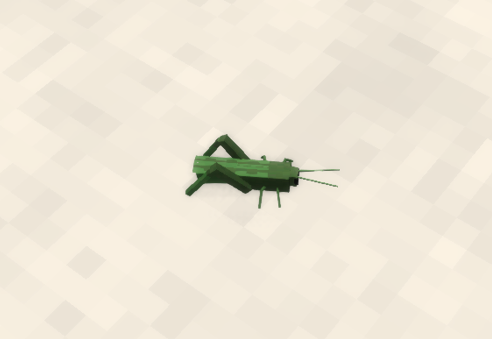 grasshopper.png.6aa421a4643816dc8f02d03ef7ecdbbe.png