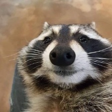 OhNoBohdie