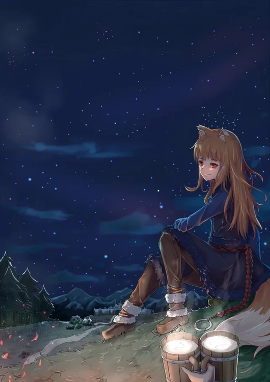 camping-holo.png