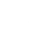 anarhist