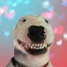 Walterrier