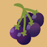Sunberry
