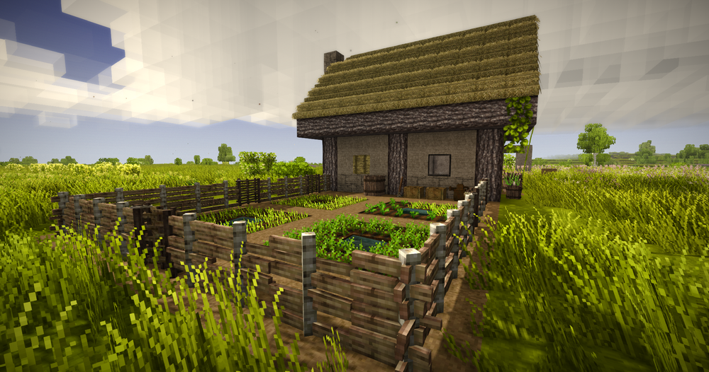 The little garden, not much but that's a start