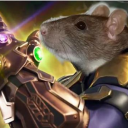 Omnipotent Rodent