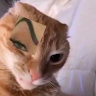 Azulo
