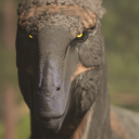 Laarikin