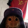 Sosyalist Kedi