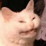 finn123