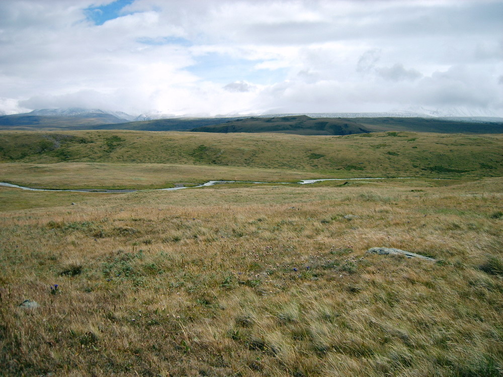 Ukok_Plateau.jpg.26846cd1cb8381884a8e1be5cc0053fc.jpg