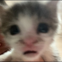 Nyaotie