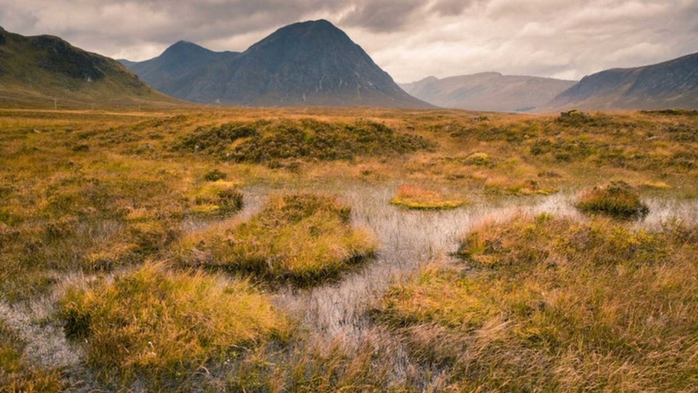 Scottish-Peatlands.jpg.1f66af08a2454b68e859d828b67f8117.jpg