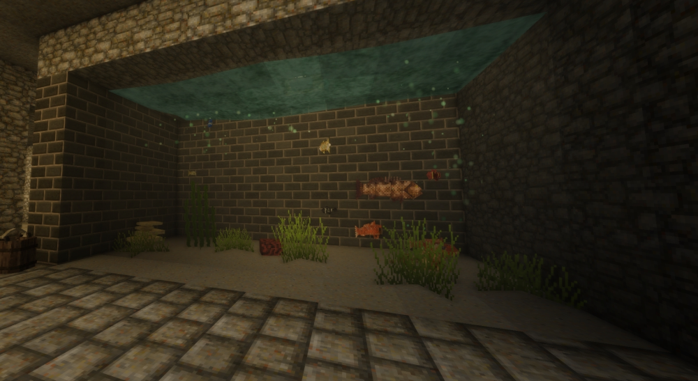 Fish Tank.png