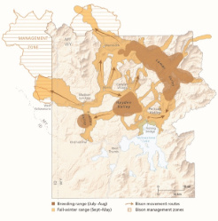 bison_seasonal_distribution_AtlasOfYellowstone2ED-01cropresize.jpg.9d6f29b12cc4e52630ded9b153a4168f.jpg.db2521460e562525e470572b2398bfdc.jpg