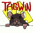 tagwin