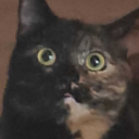 DrLulu