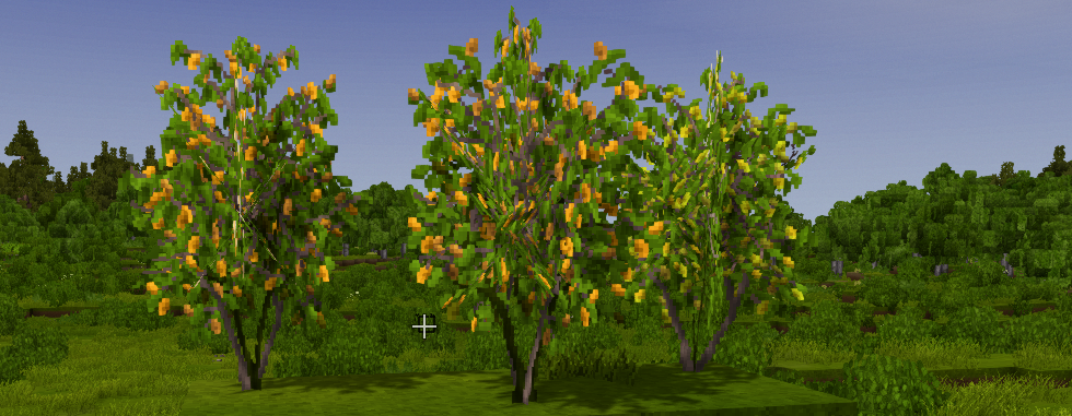 kumquat.png.3cc93773be473d76f182c154223a7e38.png