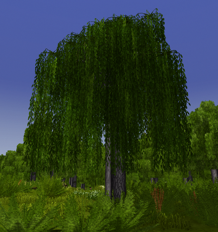willow.png.66cfc28f83bfbe8d70974627afb2696e.png