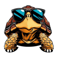 TheTurtles