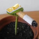 TheEeveeModder