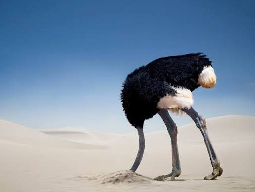 headInSand.jpg.a683db010b8bee74318542423653cfae.jpg