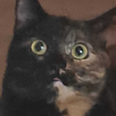 DrLulu