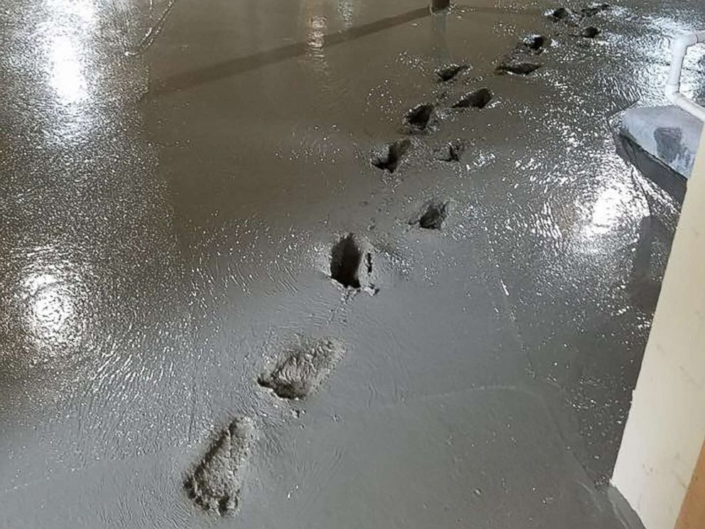 wetconcretefootprints.jpg.0db86754cfde0c49de0e32d5903d1ca1.jpg