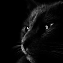 archidoxal